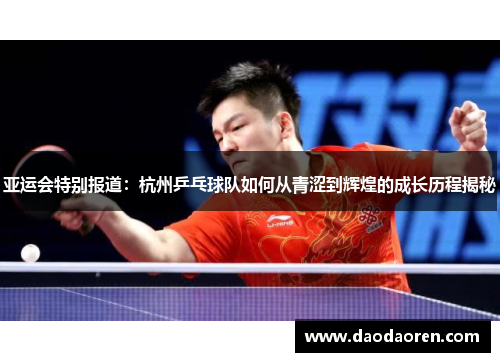 亚运会特别报道：杭州乒乓球队如何从青涩到辉煌的成长历程揭秘